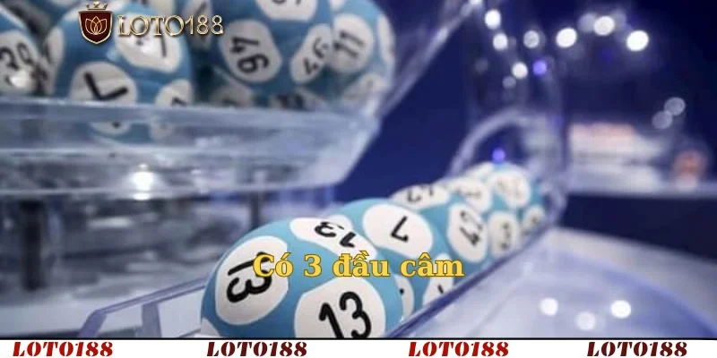 Có 3 đầu câm